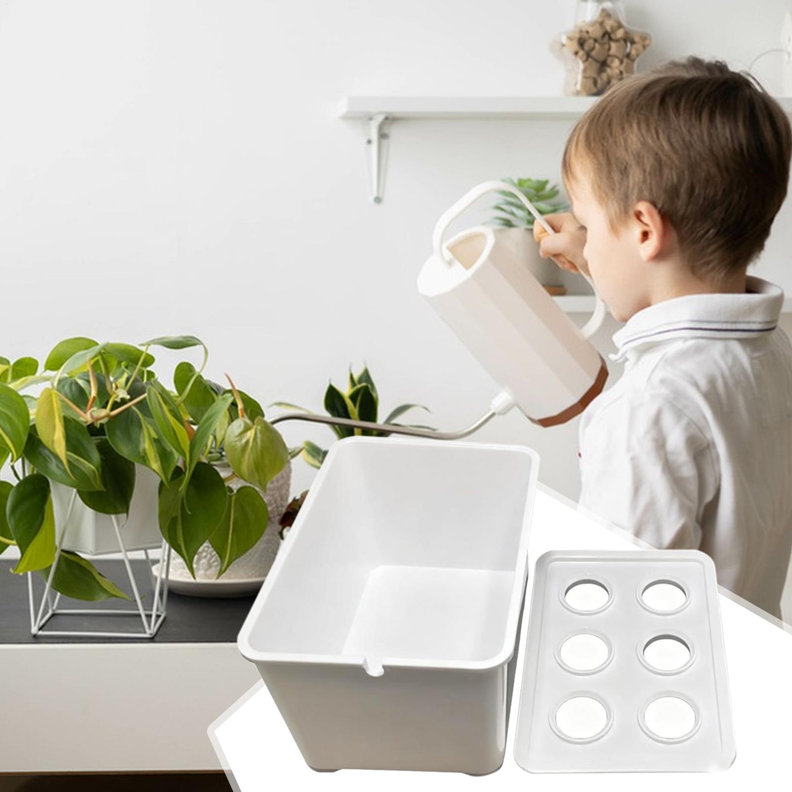 Hidroponik Yetiştirme Kiti Baş - Plant Parenting incelemesi ve fiyatı